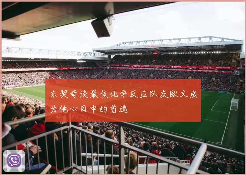 东契奇谈最佳化学反应队友欧文成为他心目中的首选